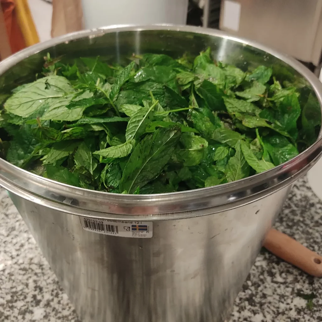 Feuilles de menthe dans le récipient de préparation.